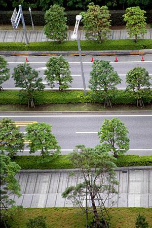 格安でも安心して乗れる自動車ならここ